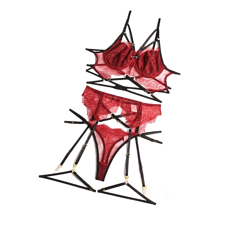 Sexy Lace Lingerie Set, Roupa  - Sheer Bra Lace avaliação e preço